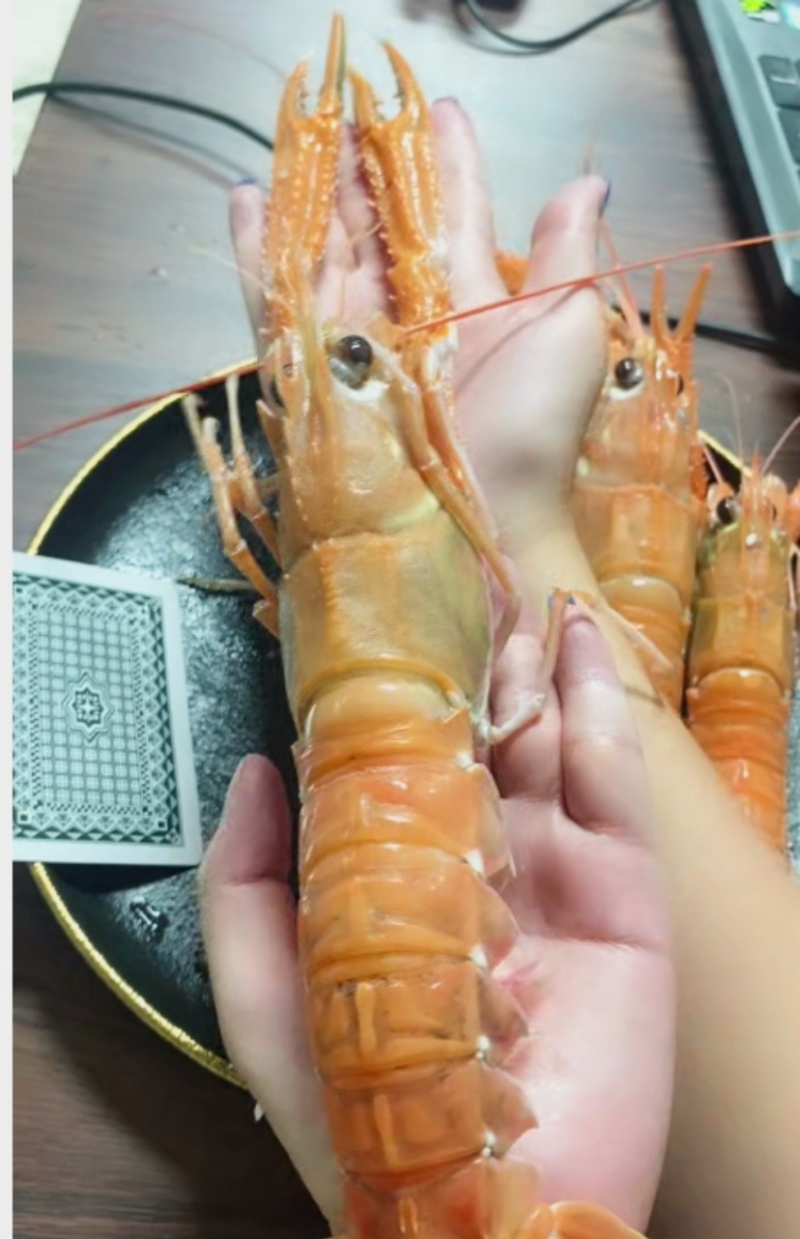 海陆臻鲜舟山远海精品超大个鳌虾1斤5-6个