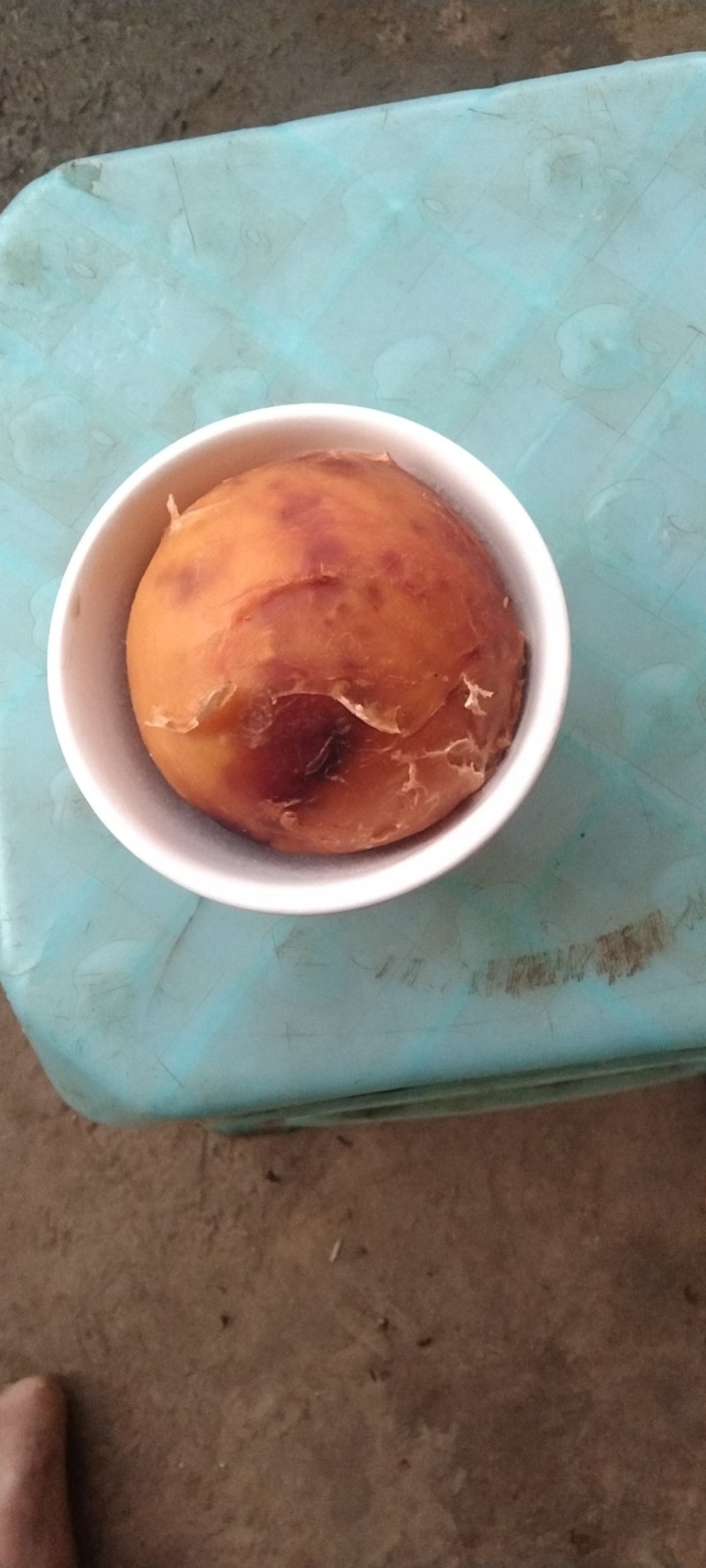鸡宝