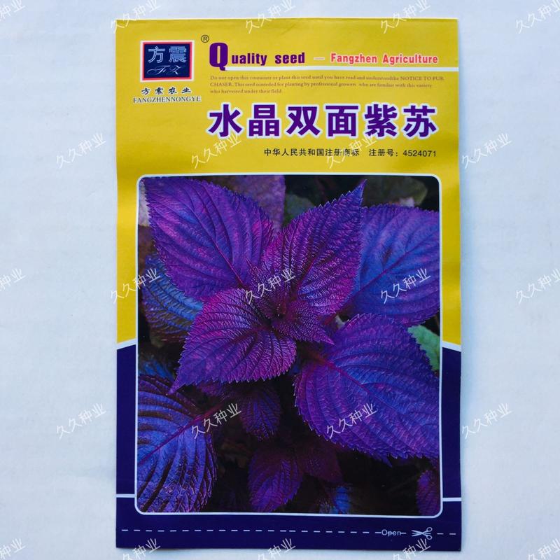 水晶双面紫苏种子可食用紫苏全籽四季苏子蔬菜盆栽香草籽