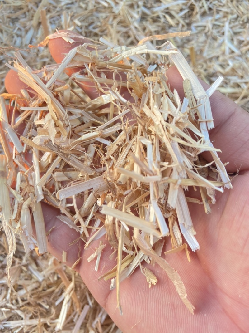 精品麦草牛羊草料白亮二次柔丝除尘厂家批价质量保证