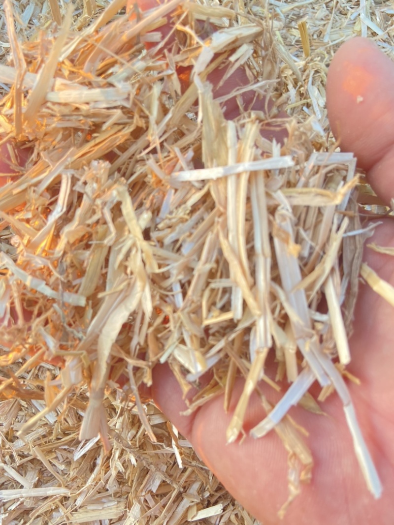 精品麦草牛羊草料白亮二次柔丝除尘厂家批价质量保证