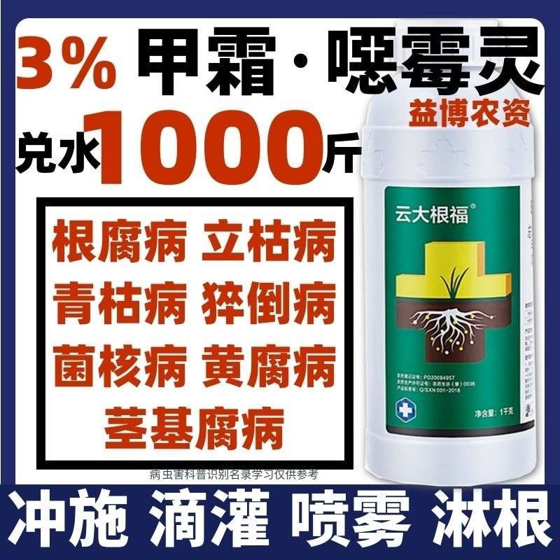 甲霜噁霉灵根腐病立枯病专用杀菌剂黄瓜辣椒草莓根腐病死苗
