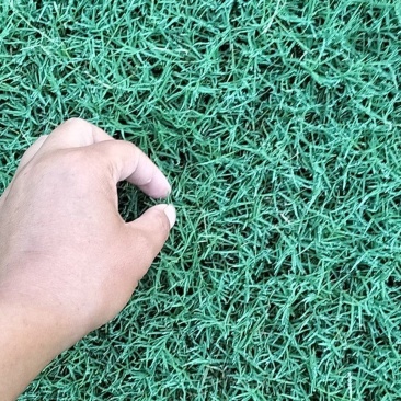 精品百幕大