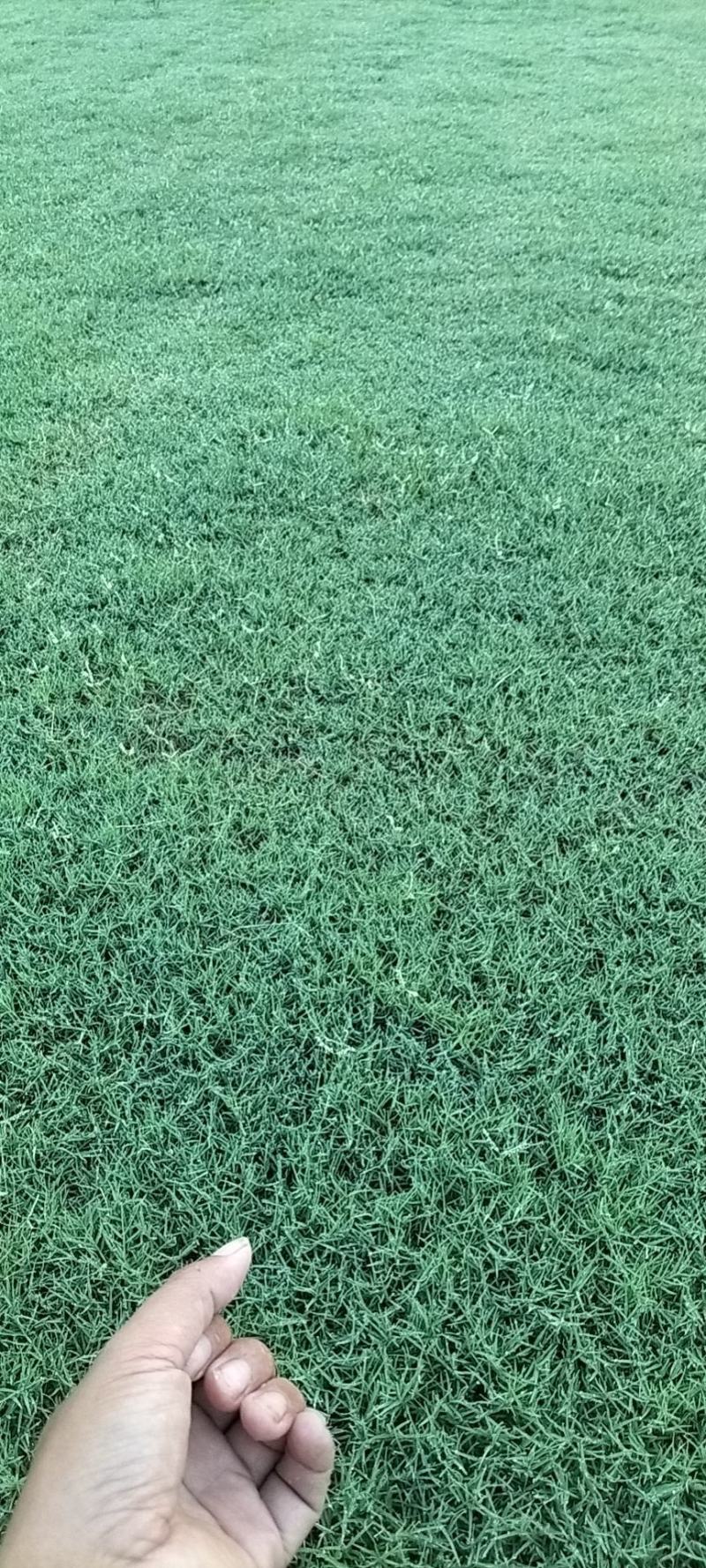 精品百幕大