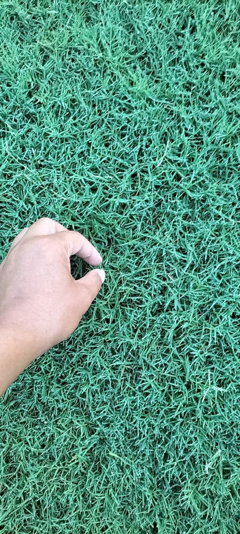 精品百幕大