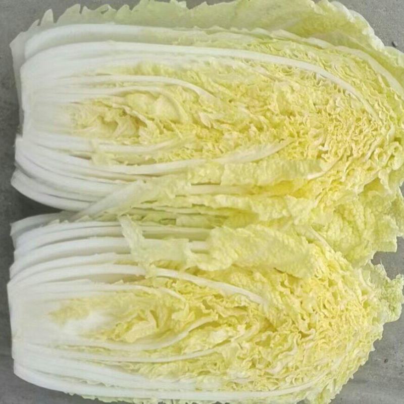 【精品】白菜，娃娃菜，质量保障无黑根，无烧心。个头大单个2斤