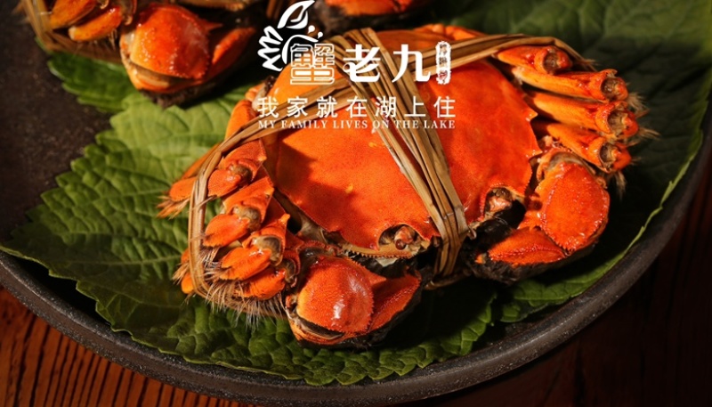 阳澄湖大闸蟹礼券开始预售喽！招代理加盟！
