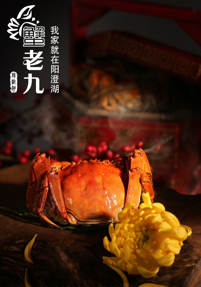 阳澄湖大闸蟹礼券开始预售喽！招代理加盟！