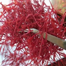 藏红花长丝原色正宗可泡水泡酒花茶包邮