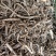 野生南五加皮（干货）