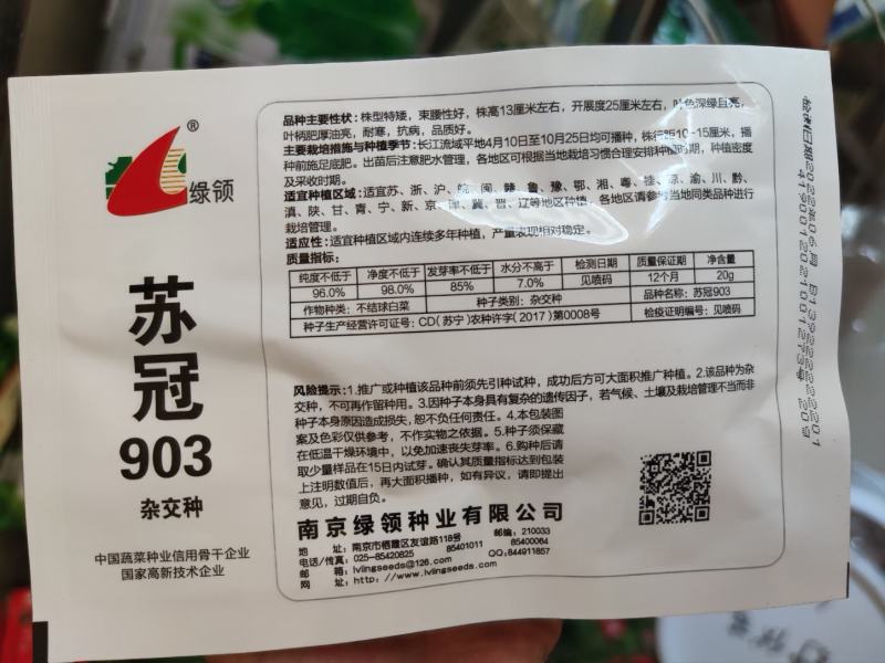 苏冠903杂交苏州青种子，20克，株高13厘米