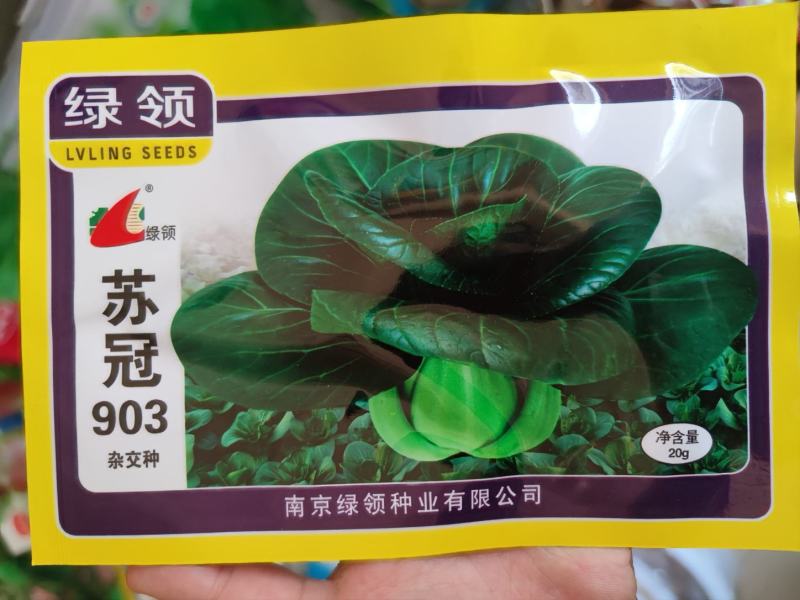 苏冠903杂交苏州青种子，20克，株高13厘米