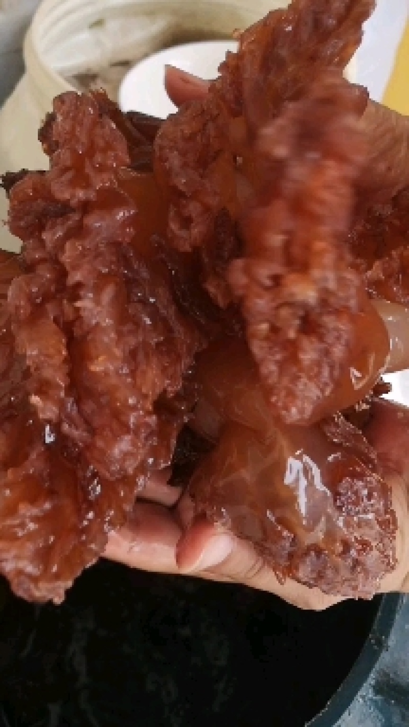 海蜇单角红头红皮规格齐全产地直发