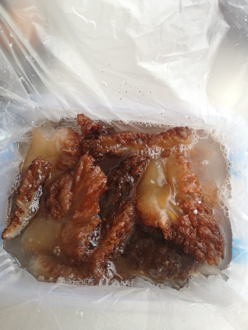 海蜇单角红头红皮规格齐全产地直发