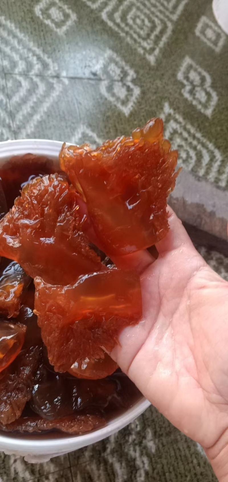 海蜇单角红头红皮规格齐全产地直发