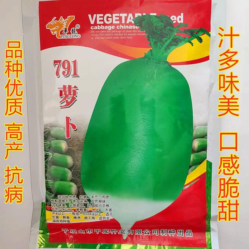 平龙791水果萝卜种子高产耐寒秋冬甜脆青皮青肉水果萝卜种