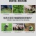 超精细牧草打浆机家用电三相电均可使用适合喂养鸡鸭鱼鹅猪