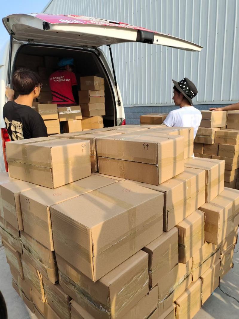 枸杞，宁夏无公害绿色枸杞产地一手货源欢迎来电咨询