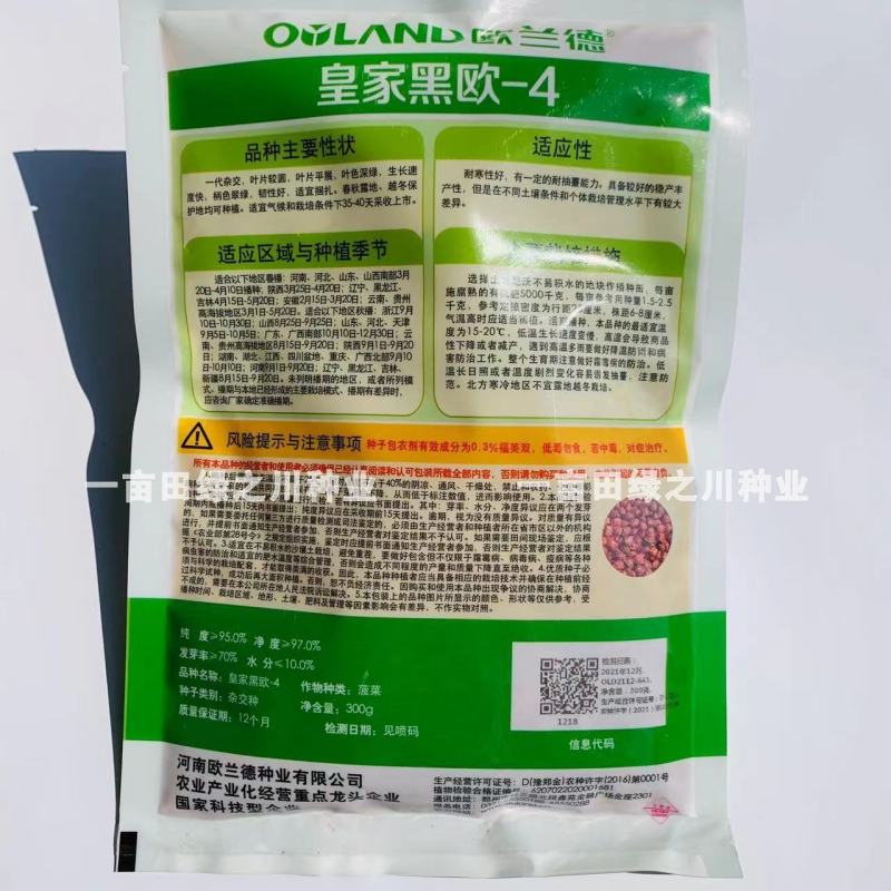 **黑欧-4菠菜种子韧性好耐捆扎一代杂交，叶色深绿基地用