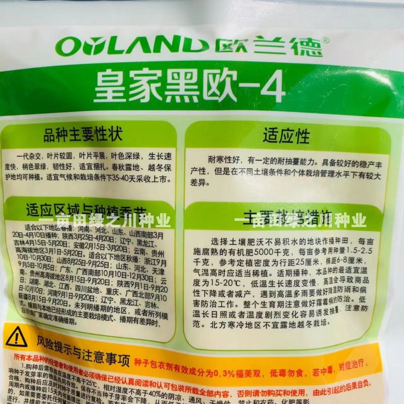**黑欧-4菠菜种子韧性好耐捆扎一代杂交，叶色深绿基地用