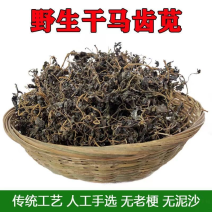 精选推荐干马齿笕各种规格零售批发中药材，欢迎采购