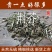 精品新荆芥珠规格批发零售各种规格中药材，产地直发