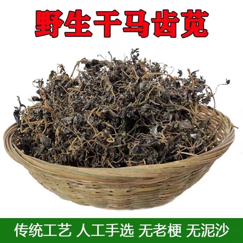 精选推荐干马齿笕各种规格零售批发中药材，欢迎采购