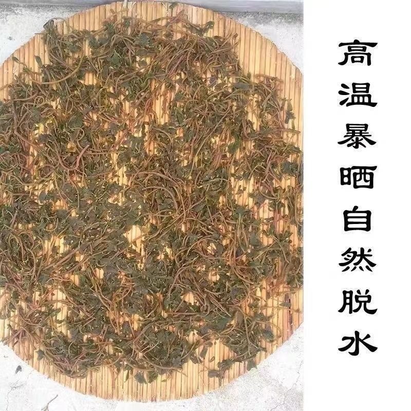 精选推荐干马齿笕各种规格零售批发中药材，欢迎采购