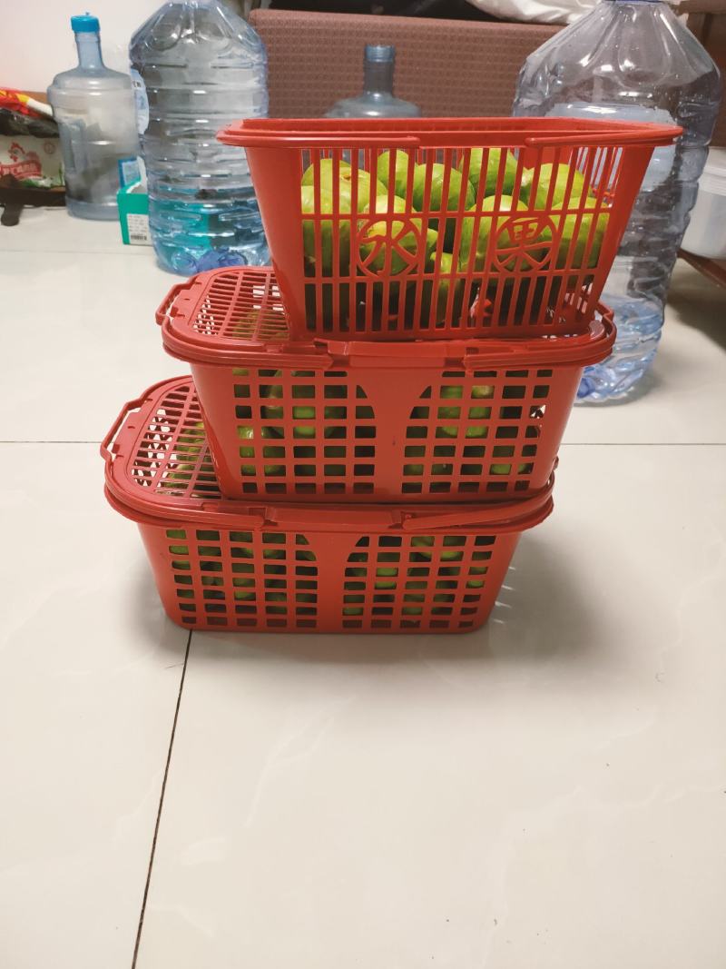 威海青皮无花果市场果4块上车，地头收货，可以发全8分熟