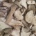 野生无硫磺，白蔹，老鼠拉冬瓜，春粉质好货