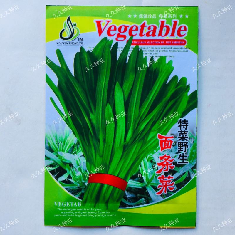野生面条菜种子种籽孑特色野菜蔬菜春秋露地四季菜园栽培