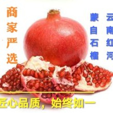 云南蒙自甜石榴，电商货市场货都有，欢迎打扰