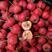 【优质】甜红子山楂，全国各地发货，口感好颜色红价格便宜