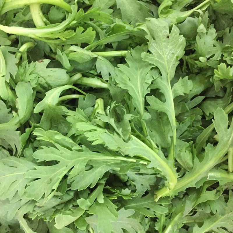 宫廷养生多茬茼蒿种子小叶茼蒿种子高产皇帝菜茼蒿菜籽蔬菜种