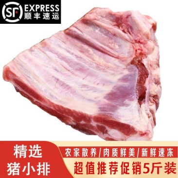 （包邮）黑猪猪排骨生鲜猪小排黑猪排骨猪肋排新鲜生排骨批发