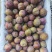 湖北李子芙蓉李子皮薄肉多口感脆甜产地直供量大从优