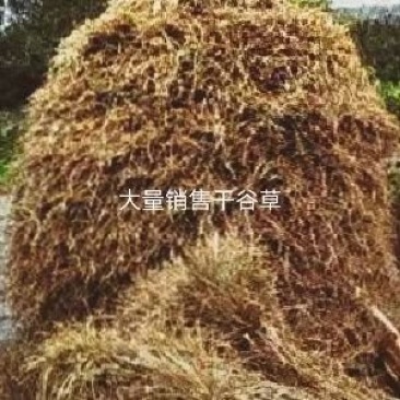 干谷草