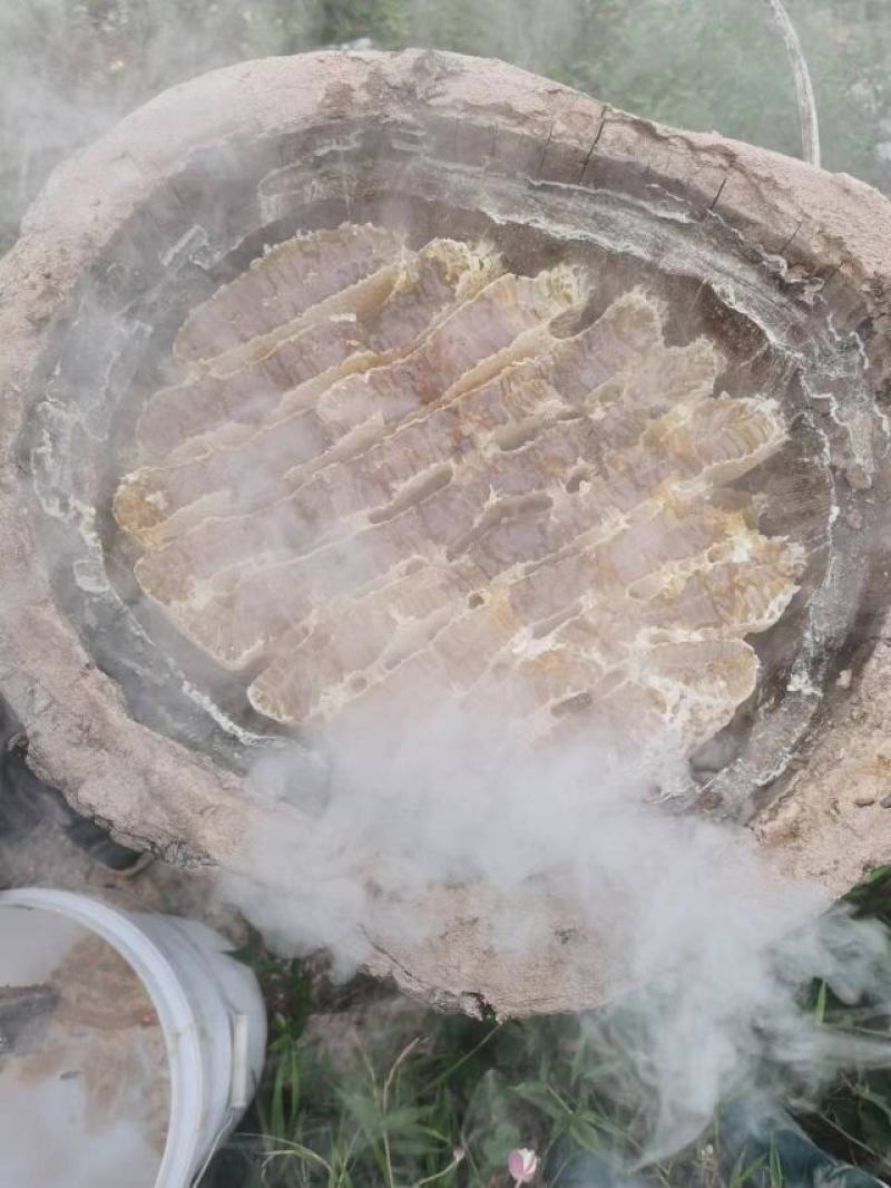 蜂蜜