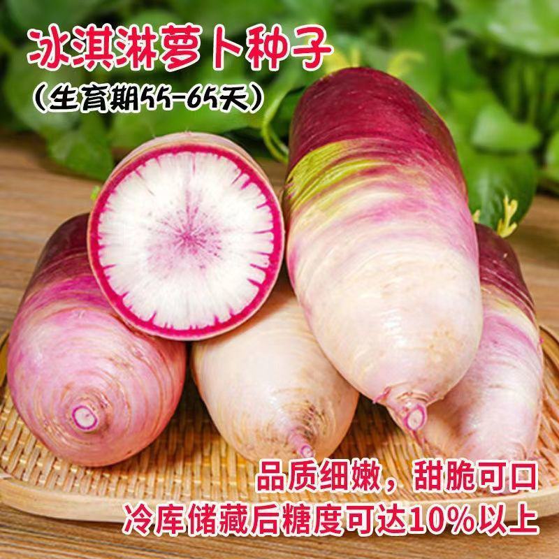 冰淇淋甜心萝卜种子生吃香甜脆爽肉质白里透紫红水果萝卜种孑