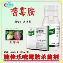 拜耳400克/升嘧霉胺黄瓜番茄灰霉病疫病农药杀菌剂