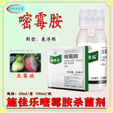 拜耳400克/升嘧霉胺黄瓜番茄灰霉病疫病农药杀菌剂