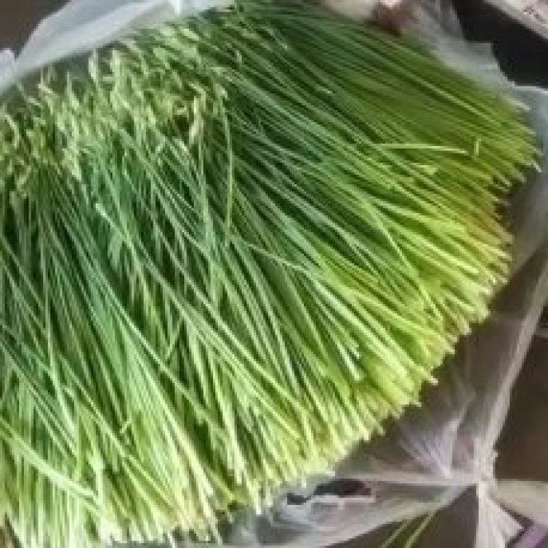 汉中韮菜苔，冷库大量有货，冷库储存价格便宜欢迎采购