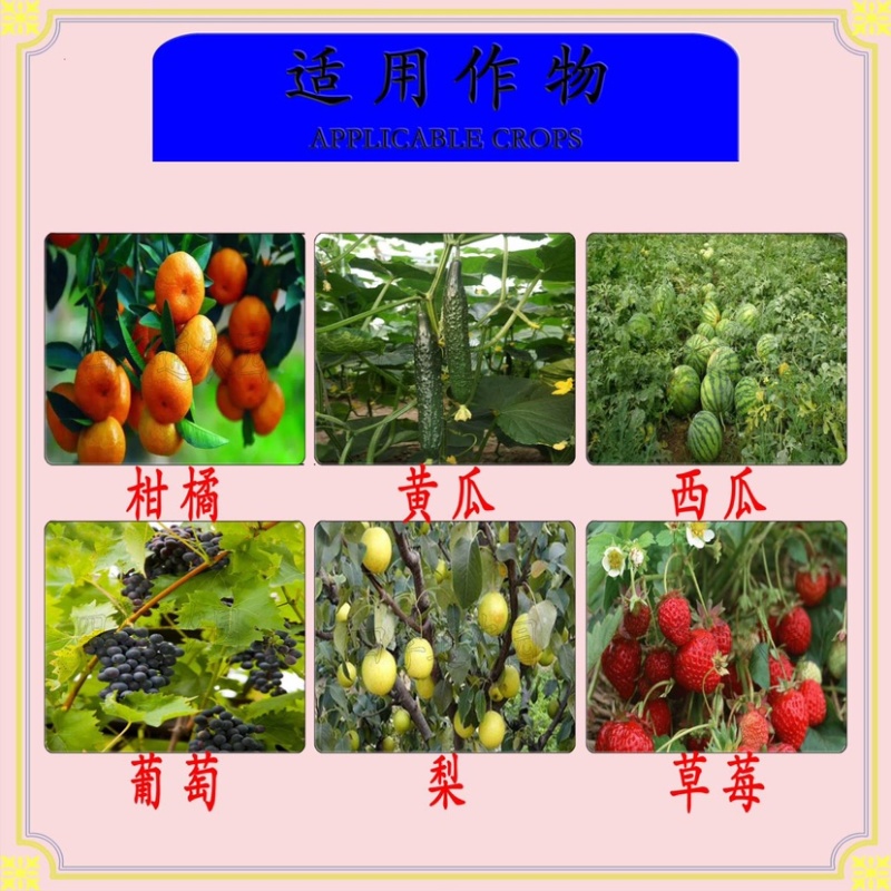 拜耳400克/升嘧霉胺黄瓜番茄灰霉病疫病农药杀菌剂