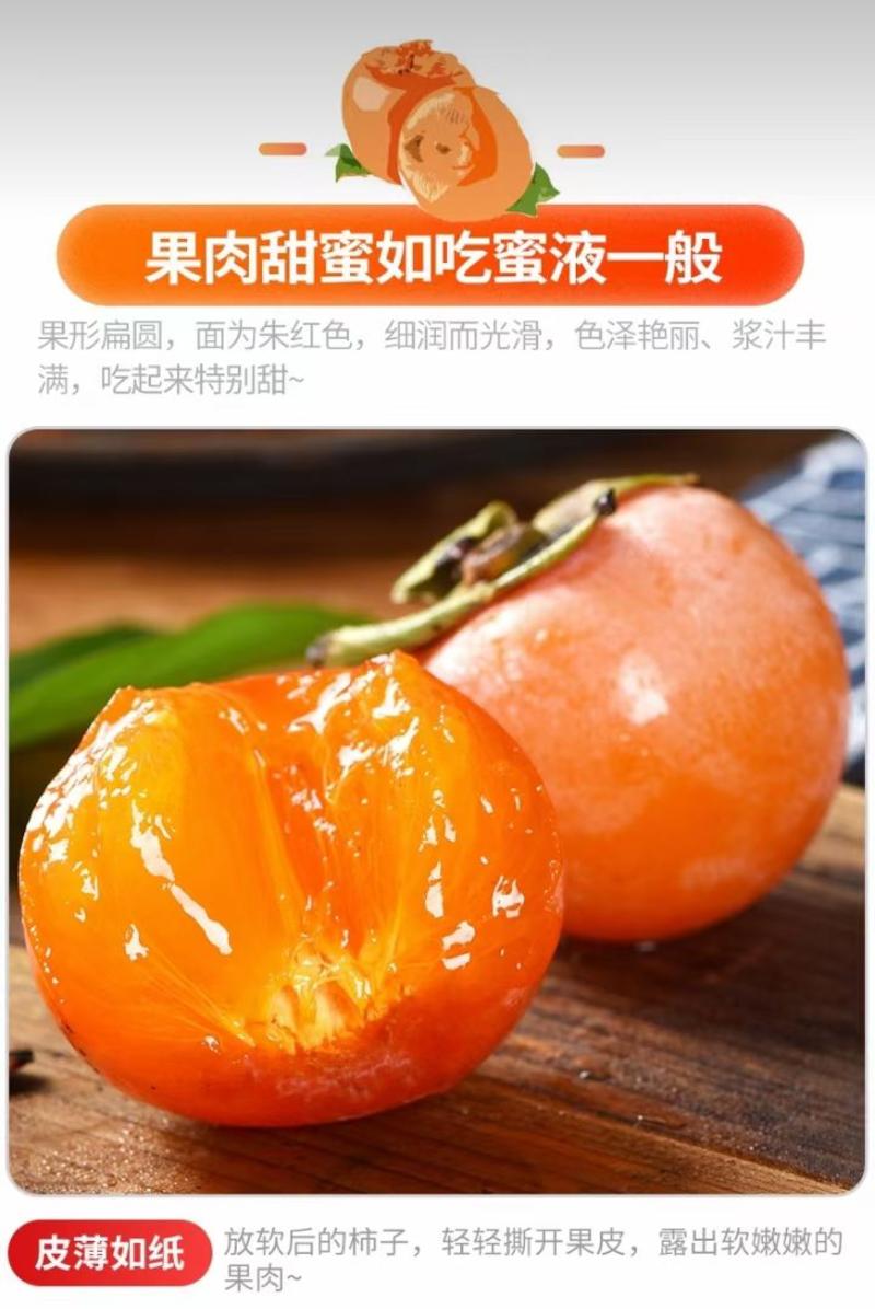 陕西大荔镰山七月黄优质水晶柿子
