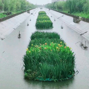 生态浮岛复合纤维湿地水生态综合治理消减污染物包施工包成活