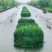 生态浮岛复合纤维湿地水生态综合治理消减污染物包施工包成活