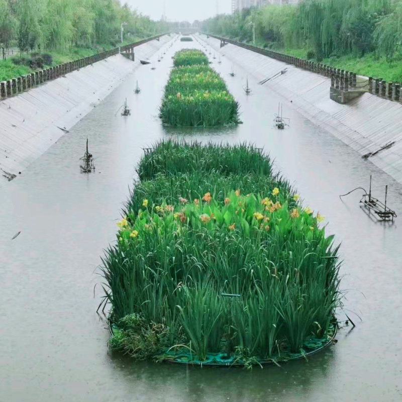 生态浮岛复合纤维湿地水生态综合治理消减污染物包施工包成活
