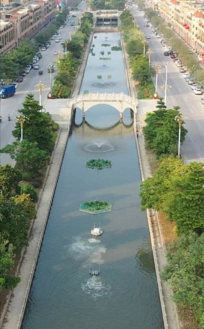 生态浮岛复合纤维湿地水生态综合治理消减污染物包施工包成活