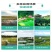 生态浮岛复合纤维湿地水生态综合治理消减污染物包施工包成活