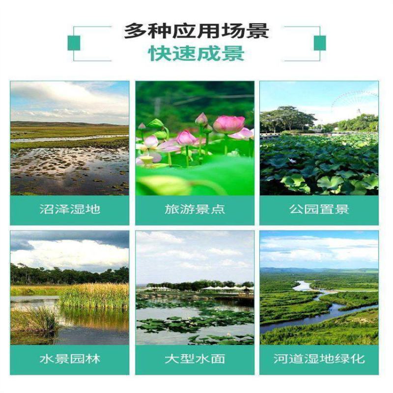 生态浮岛复合纤维湿地水生态综合治理消减污染物包施工包成活